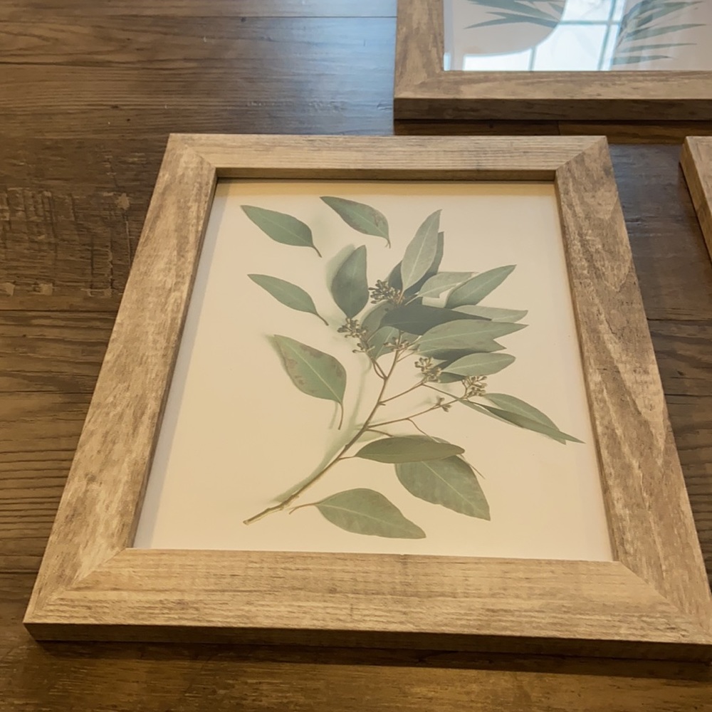 Leaf pictures in frames bundle - Picture 5 of 7